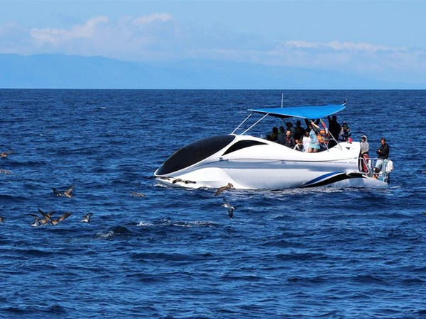 A water tour on a glass bottom boat