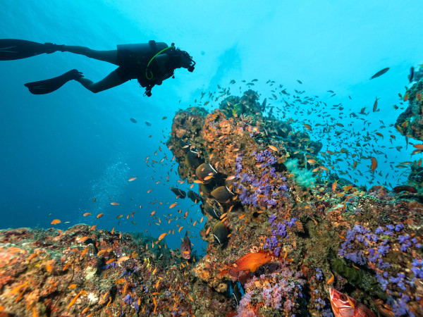 Diving British Virgin Islands