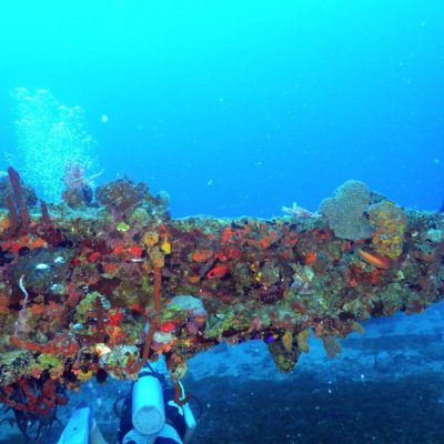 RHONE NATIONAL MARINE PARK